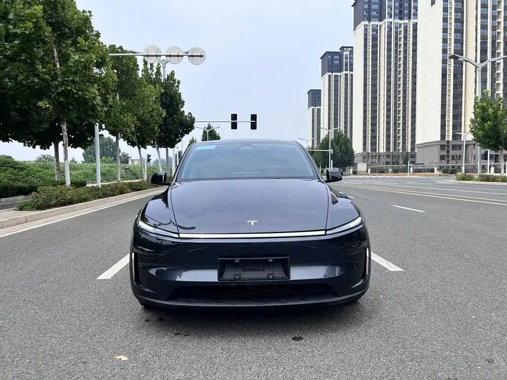 Tesla Model Y — миниатюра 2