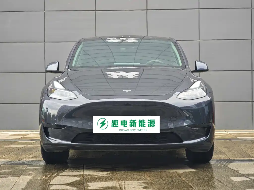 Tesla Model Y — миниатюра 2