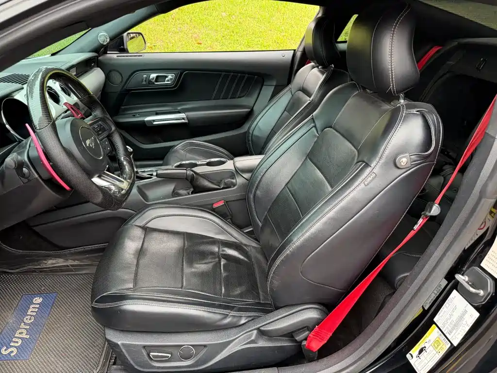 Ford Mustang — миниатюра 8