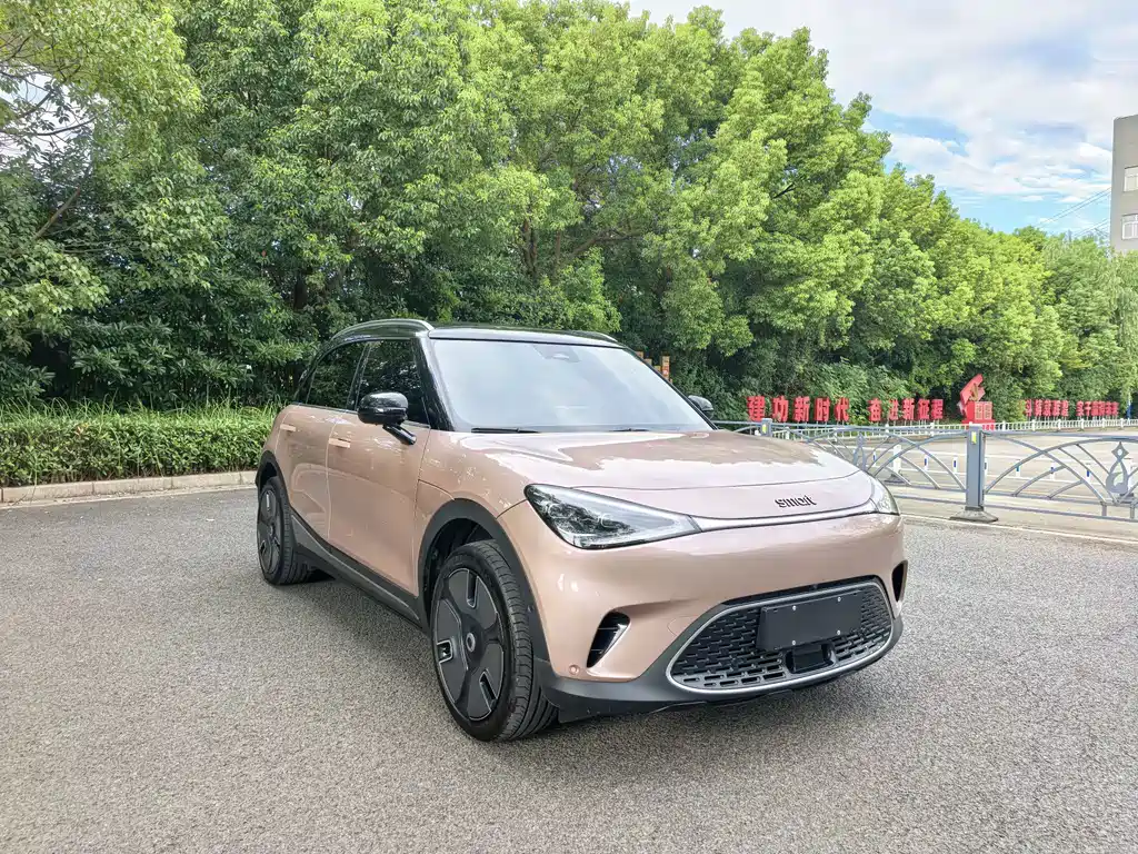 smart Smart #1 — миниатюра 3