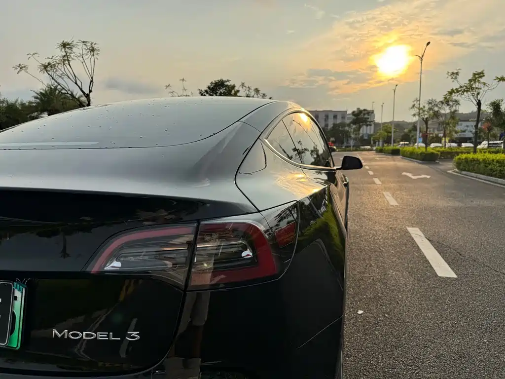 Tesla Model 3 — миниатюра 34