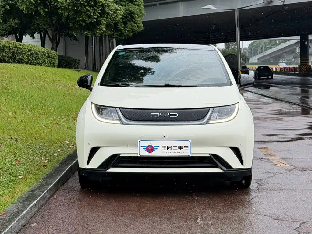 BYD Dolphin — миниатюра 2