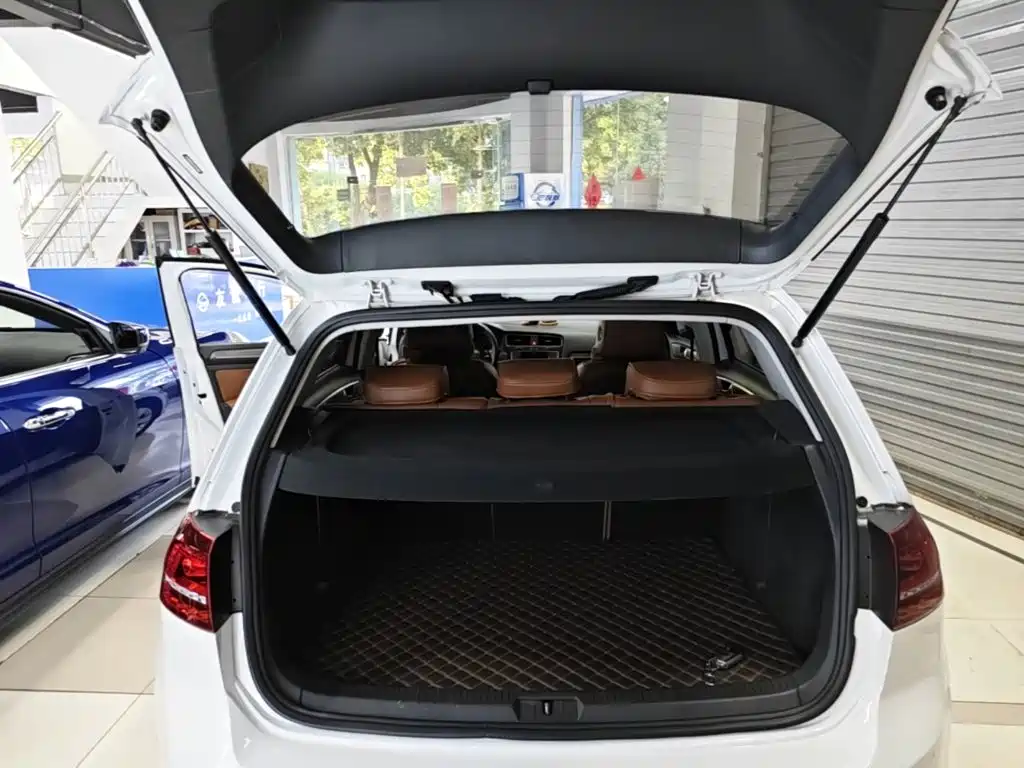 Volkswagen Golf — миниатюра 19