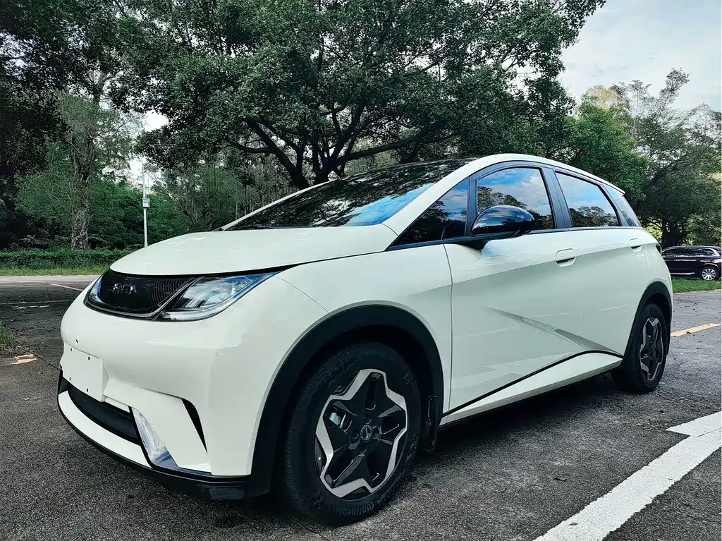 BYD Dolphin