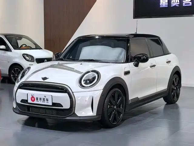MINI 