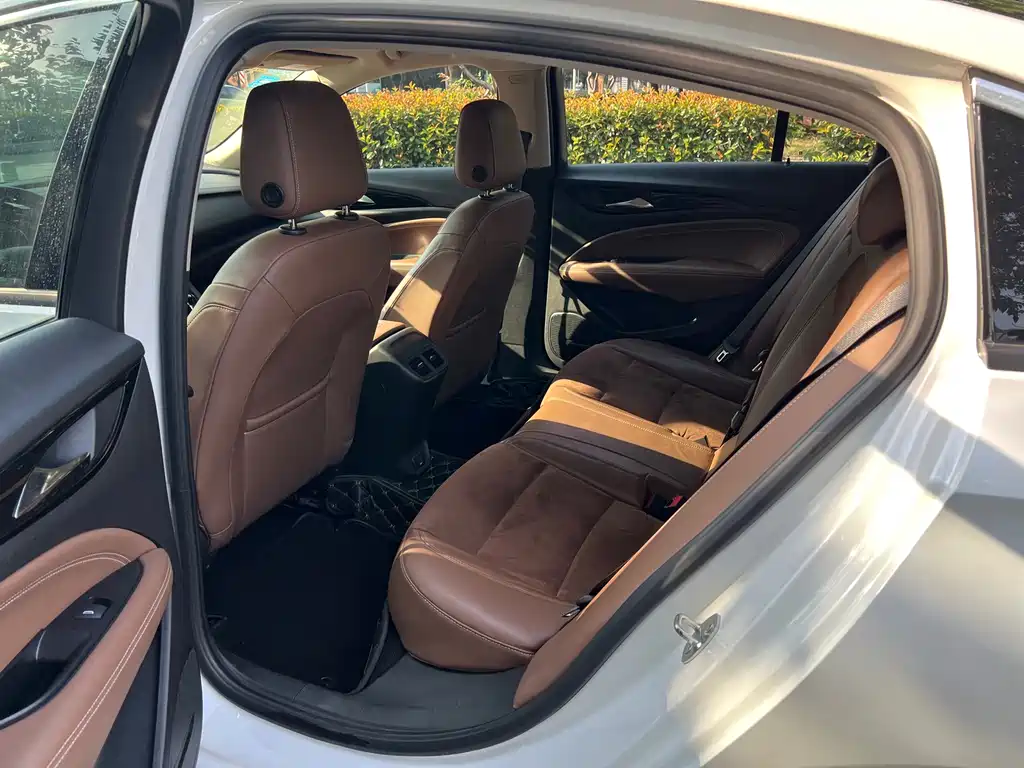 Buick Regal — миниатюра 14