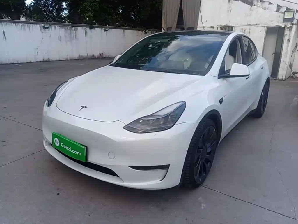 Tesla Model Y — миниатюра 2