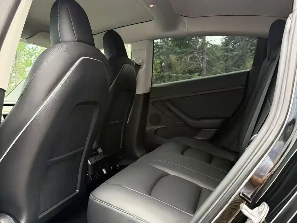 Tesla Model 3 — миниатюра 7