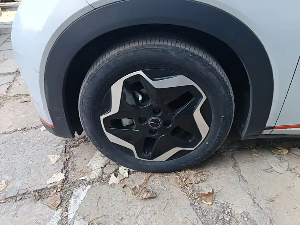BYD Dolphin — миниатюра 23