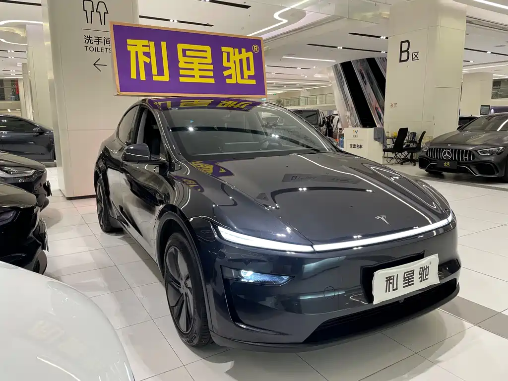 Tesla Model Y — миниатюра 2