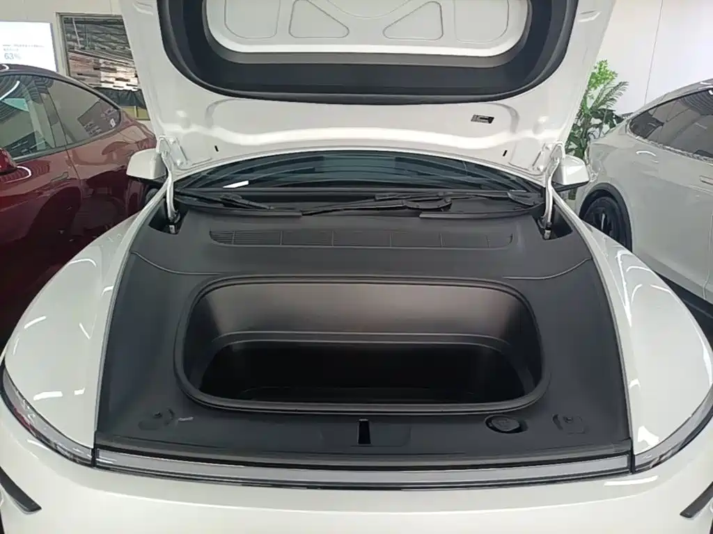 Tesla Model Y — миниатюра 20