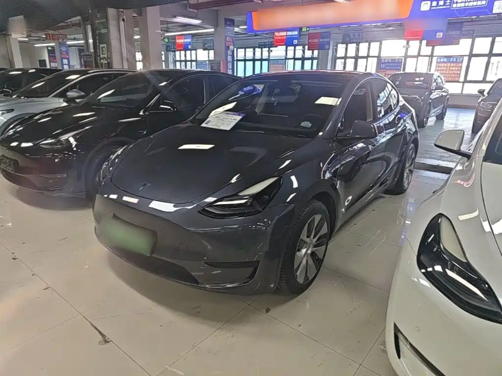 Tesla Model Y — миниатюра 2