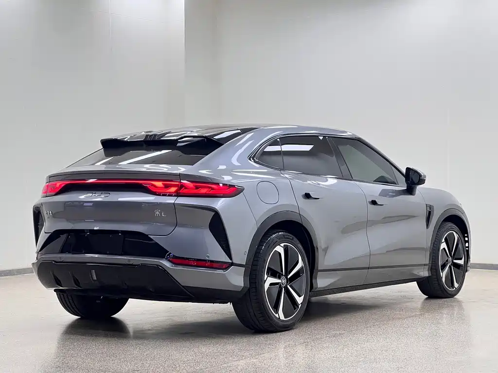 BYD L EV — миниатюра 6
