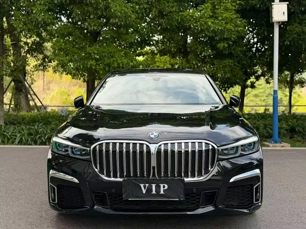 BMW 7 Series 7 2018 730Li Lead
