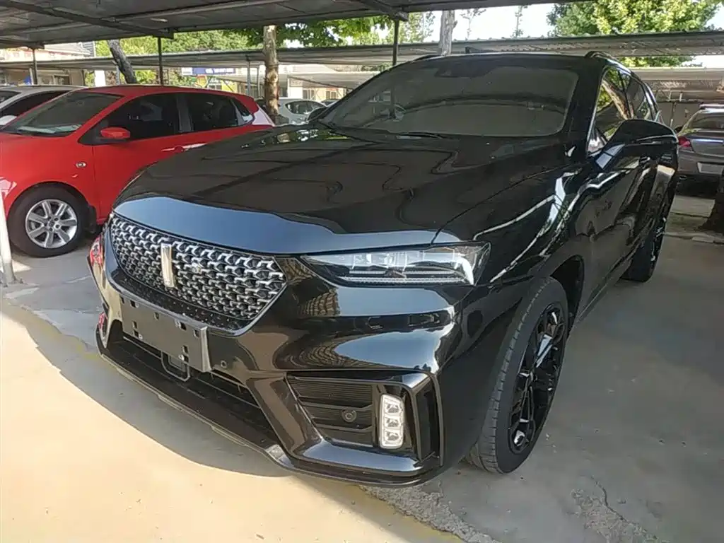 Купить Wey Wey VV7