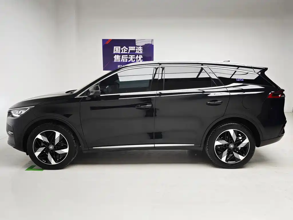 BYD Tang New Energy — миниатюра 9