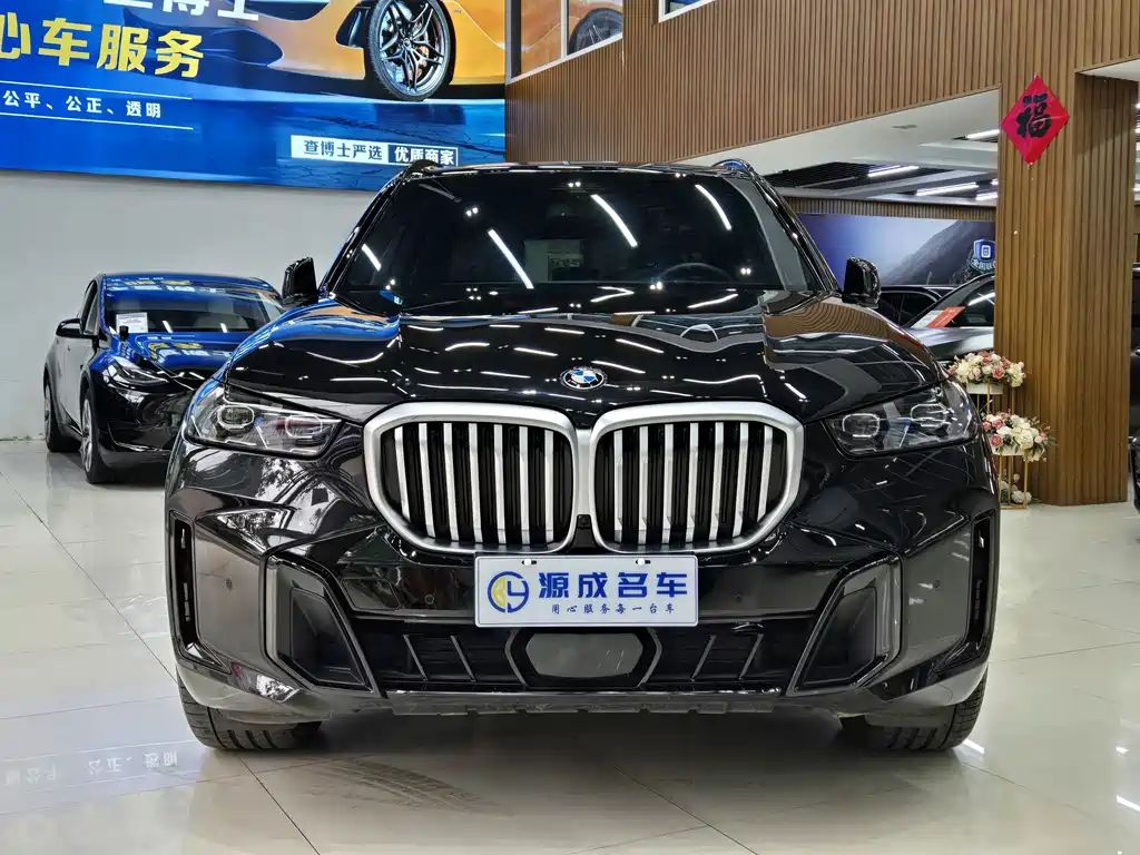 BMW X5 — миниатюра 3