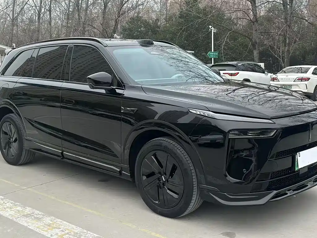 WEI PAI WEI BRAND BLUE MOUNTAIN