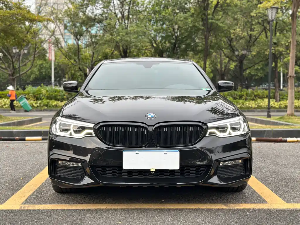 BMW 5 SERIES