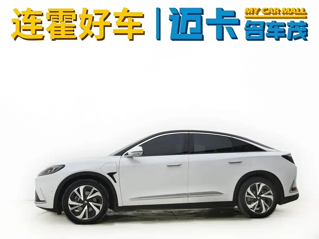 ARCFOX EXTREME FOX POLAR FOX ALPHA S