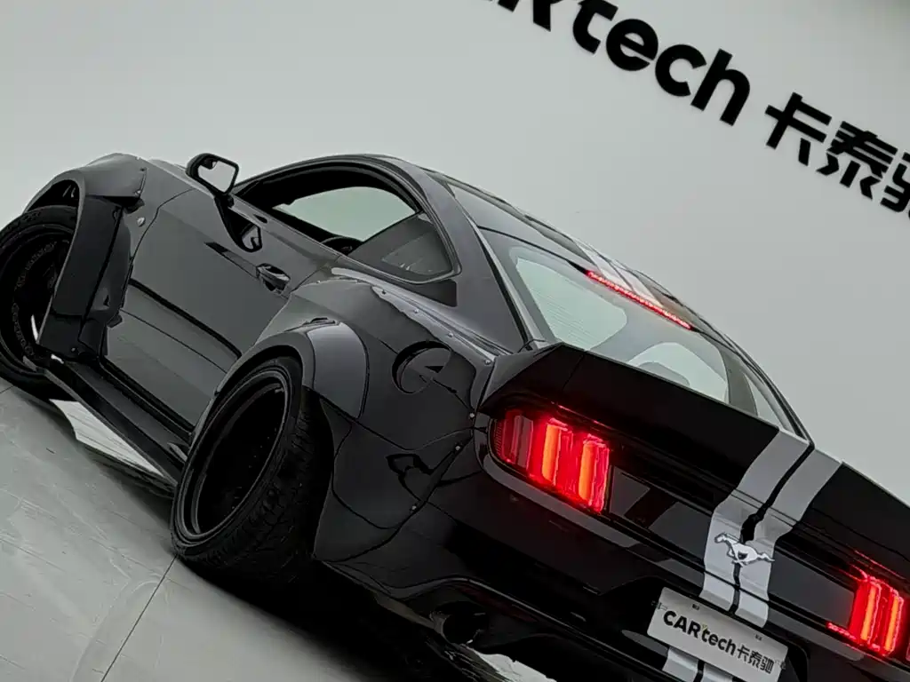 Ford Mustang — миниатюра 16