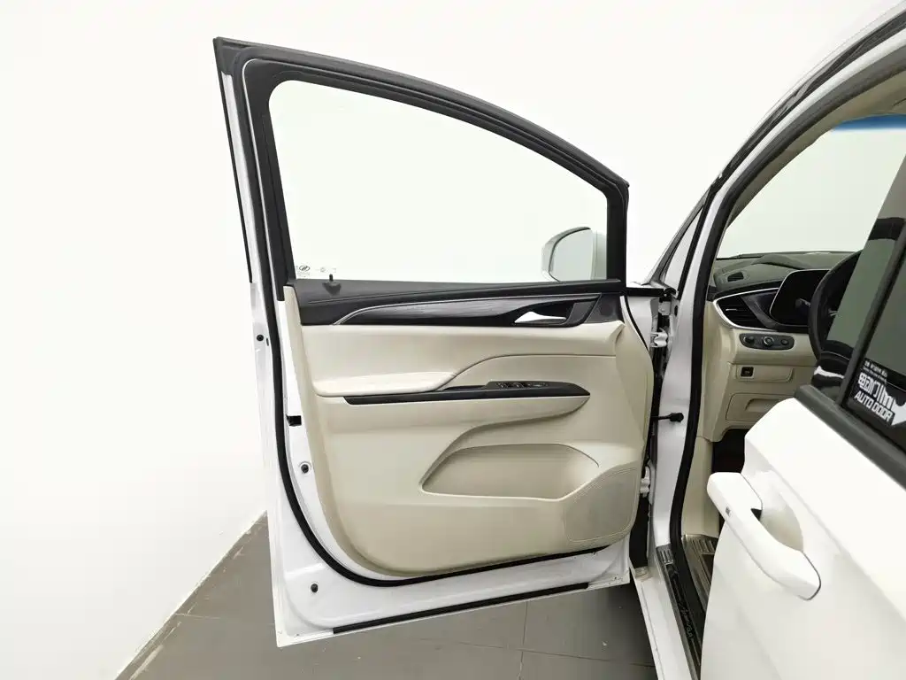 Buick GL8 — миниатюра 8