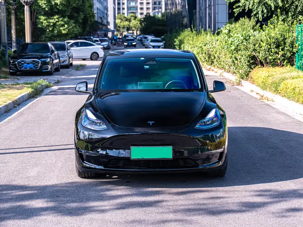Tesla Model Y — миниатюра 2