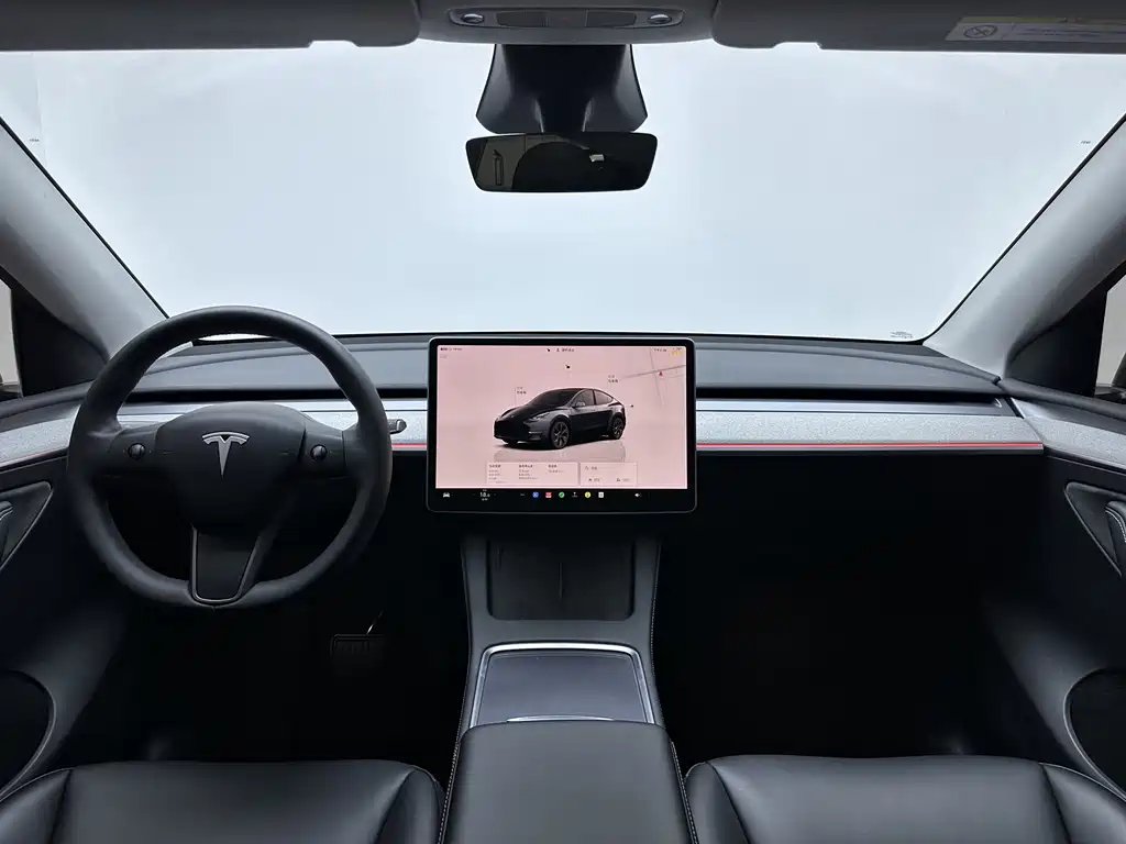 Tesla Model Y — миниатюра 15