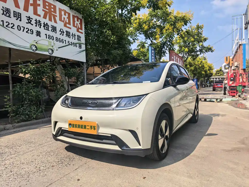 BYD Dolphin