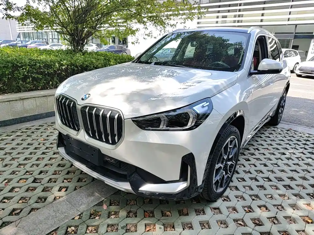 BMW X1 — миниатюра 2