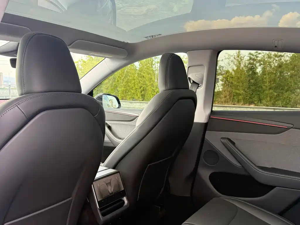 Tesla Model Y — миниатюра 12