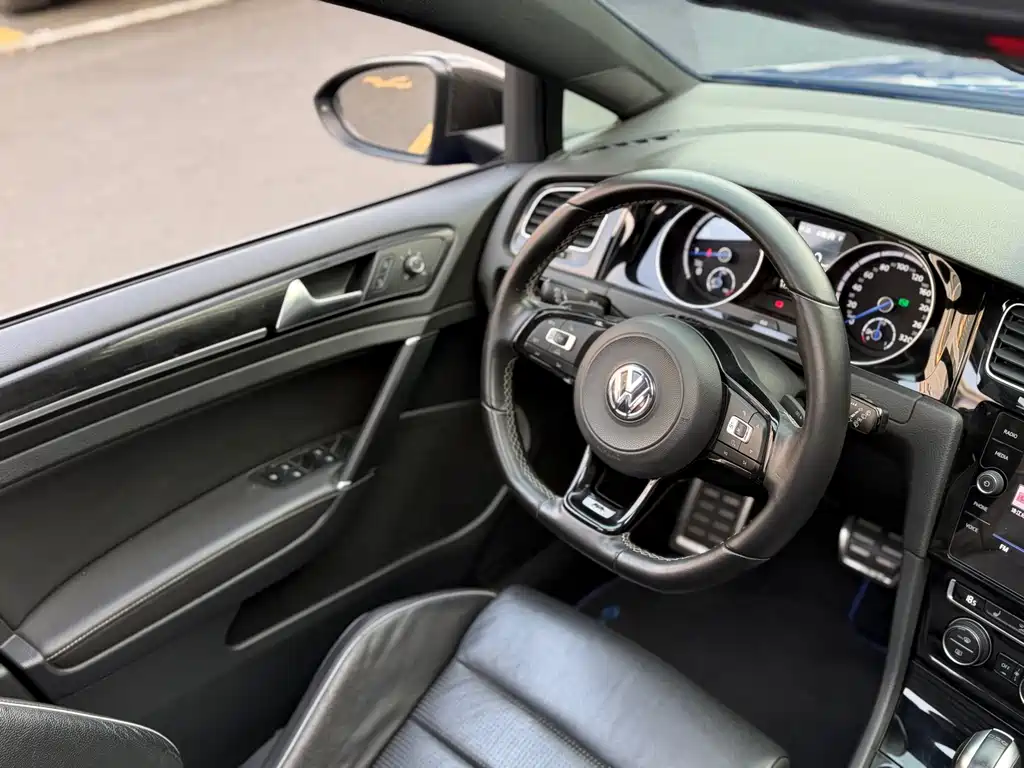 Volkswagen Golf (Import) — миниатюра 25
