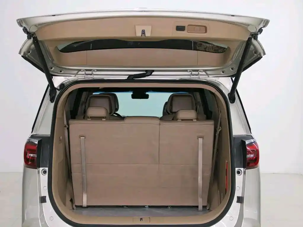 Buick GL8 — миниатюра 9