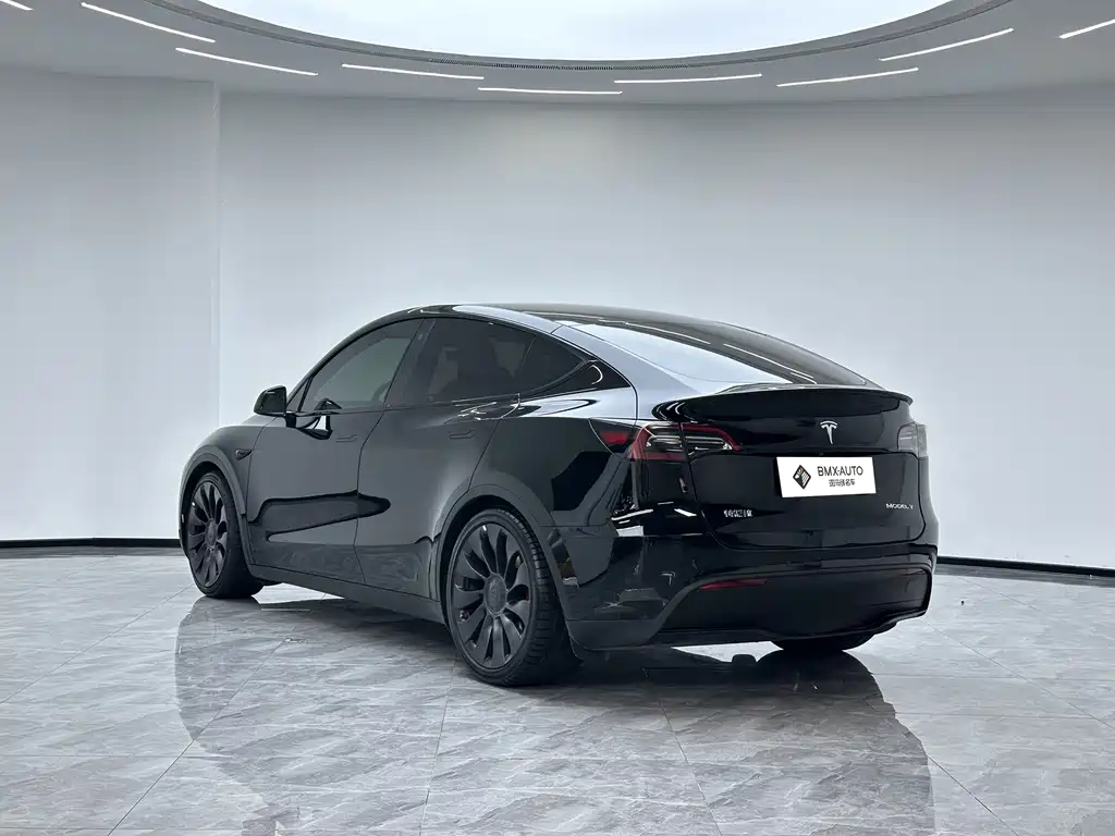 Tesla Model Y — миниатюра 3