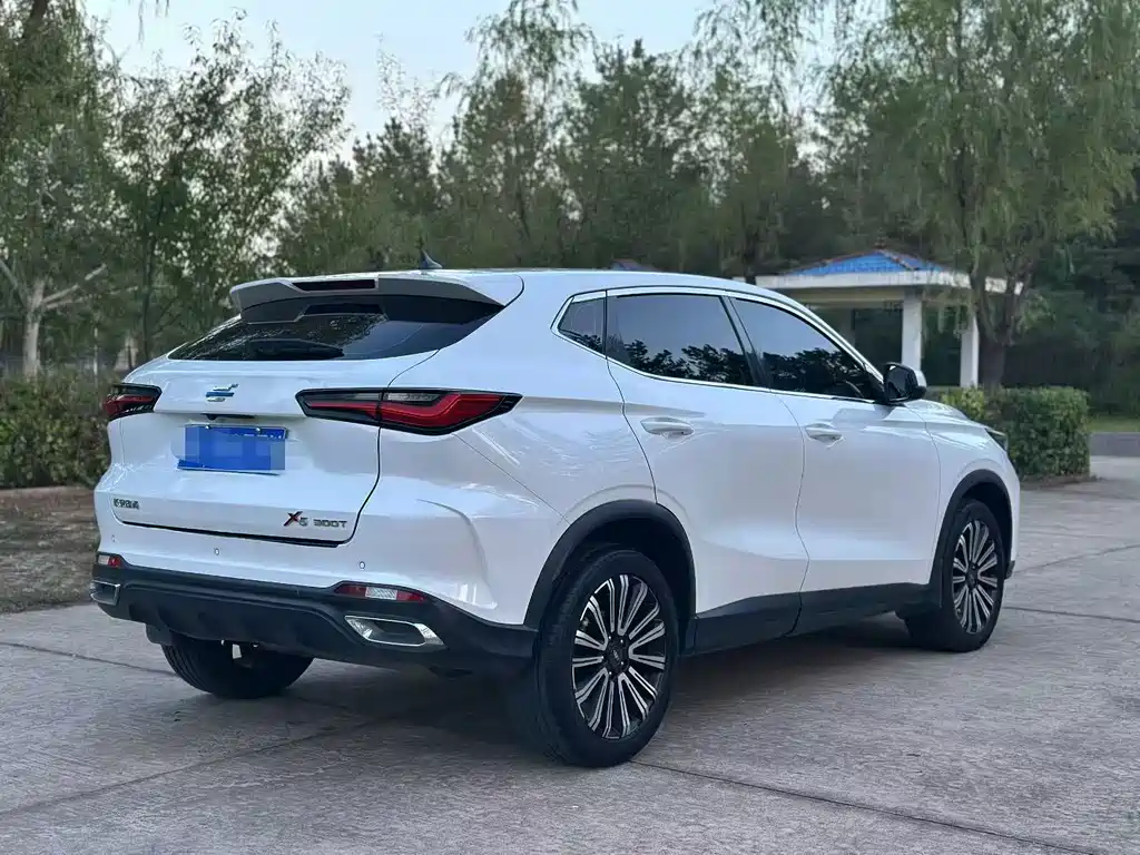 Oshan Oushang X5 — миниатюра 6