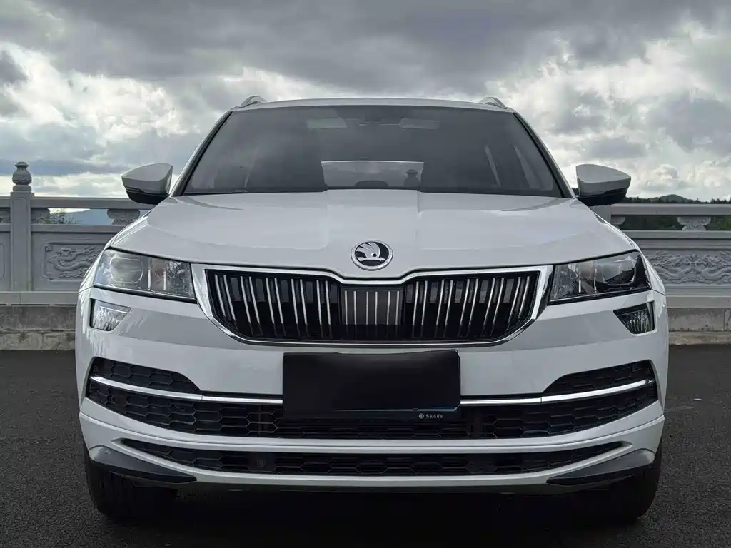 Skoda Karoq — миниатюра 2