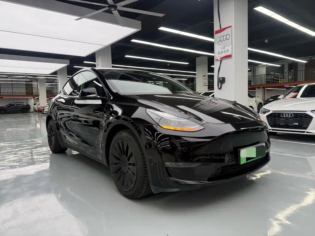 Tesla Model Y — миниатюра 3