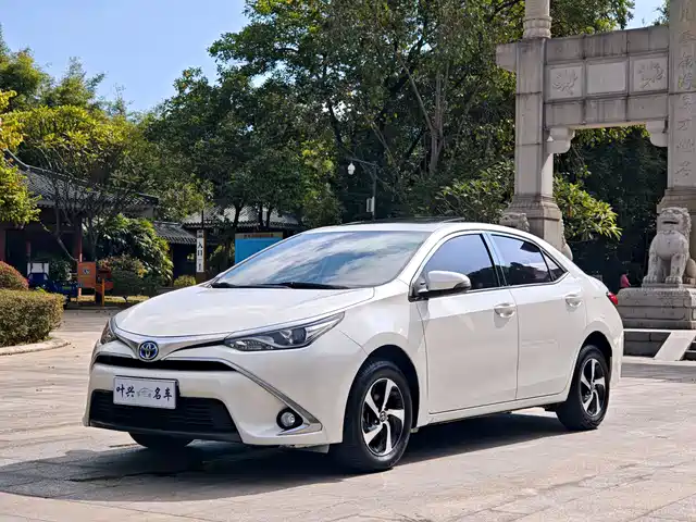 TOYOTA LEI LING 2019