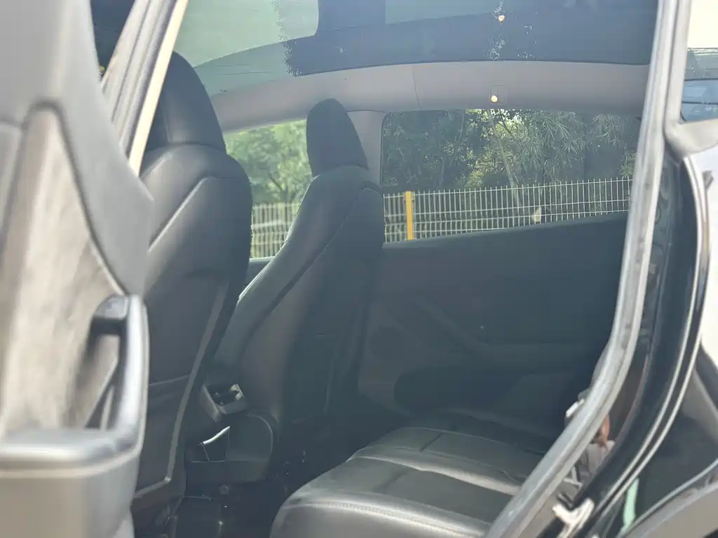 Tesla Model Y — миниатюра 8