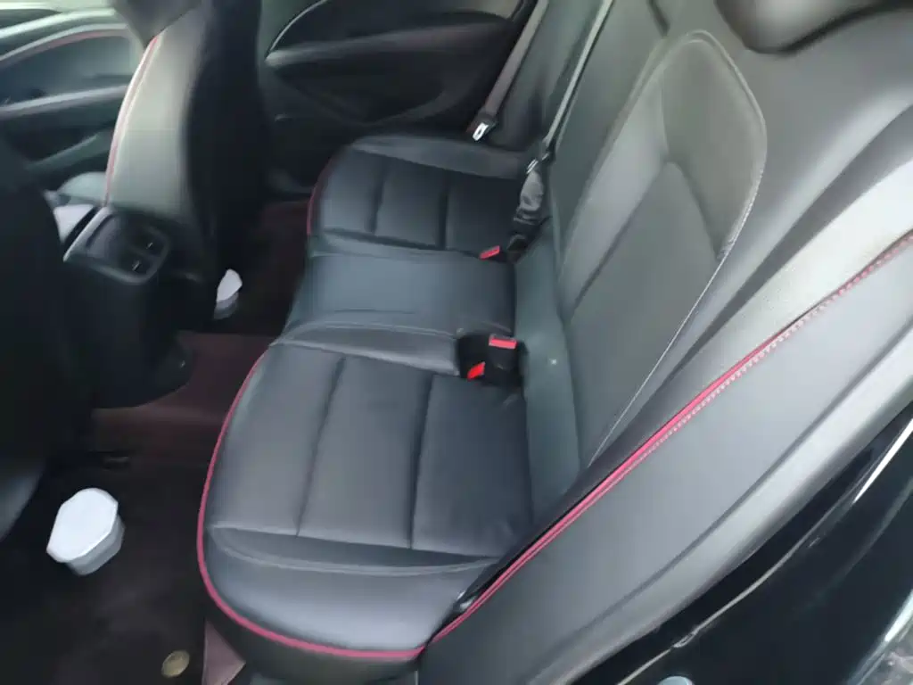 Buick Regal — миниатюра 17