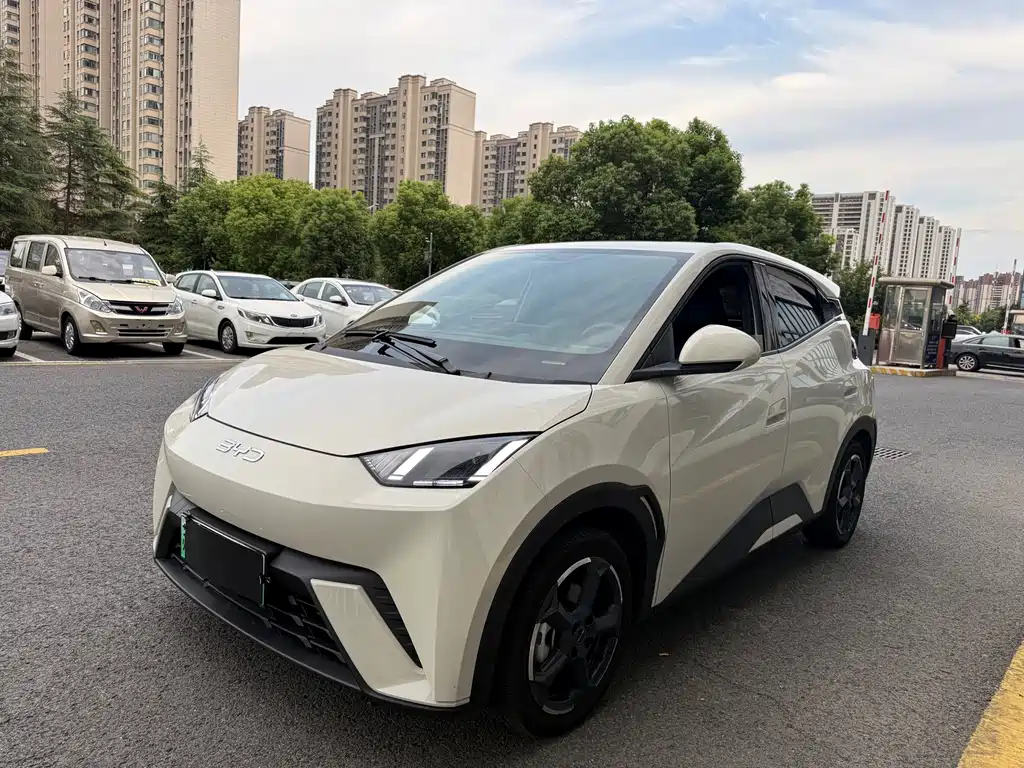 BYD Seagull