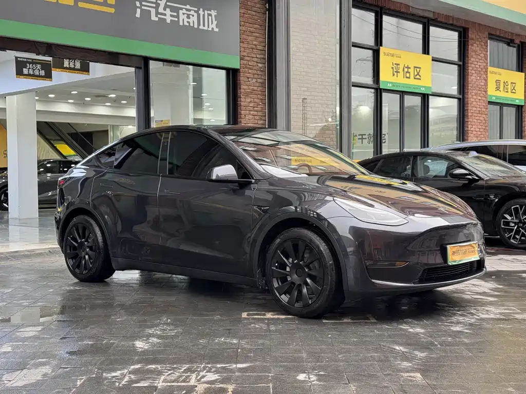 Tesla Model Y — миниатюра 3