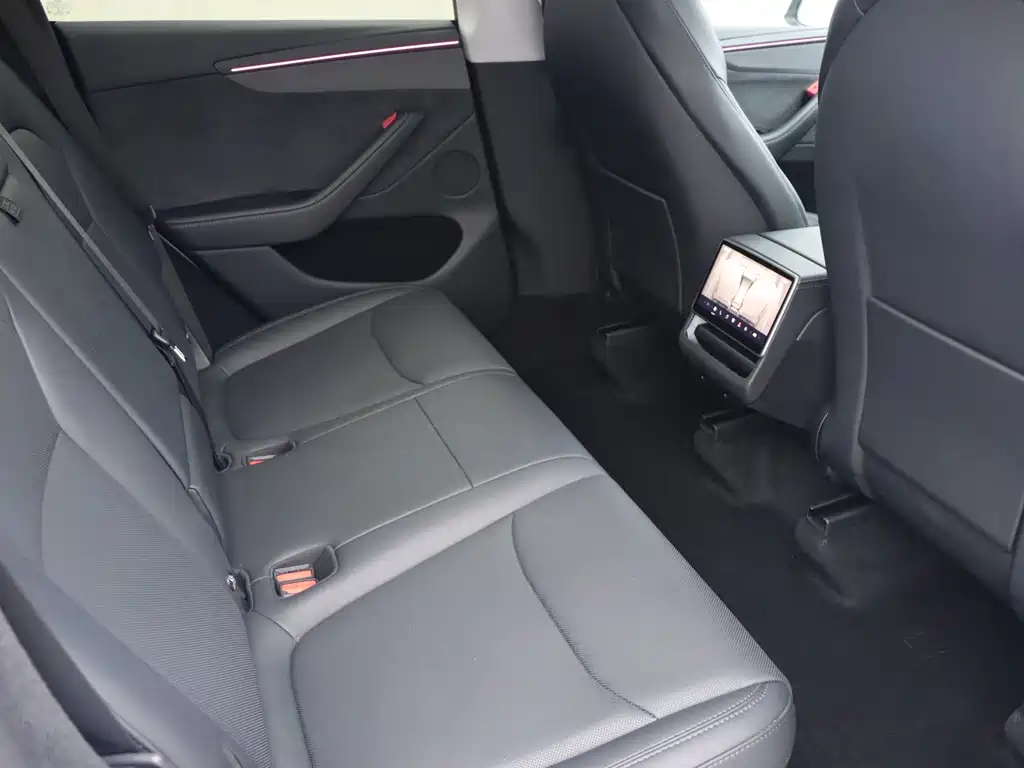Tesla Model Y — миниатюра 12