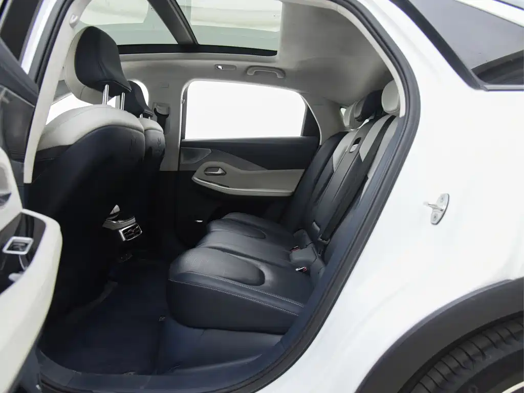 ARCFOX EXTREME FOX POLAR FOX ALPHA S