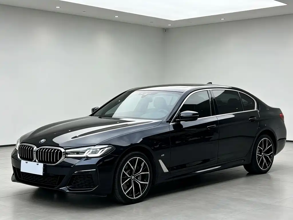 BMW 5 Series — миниатюра 3