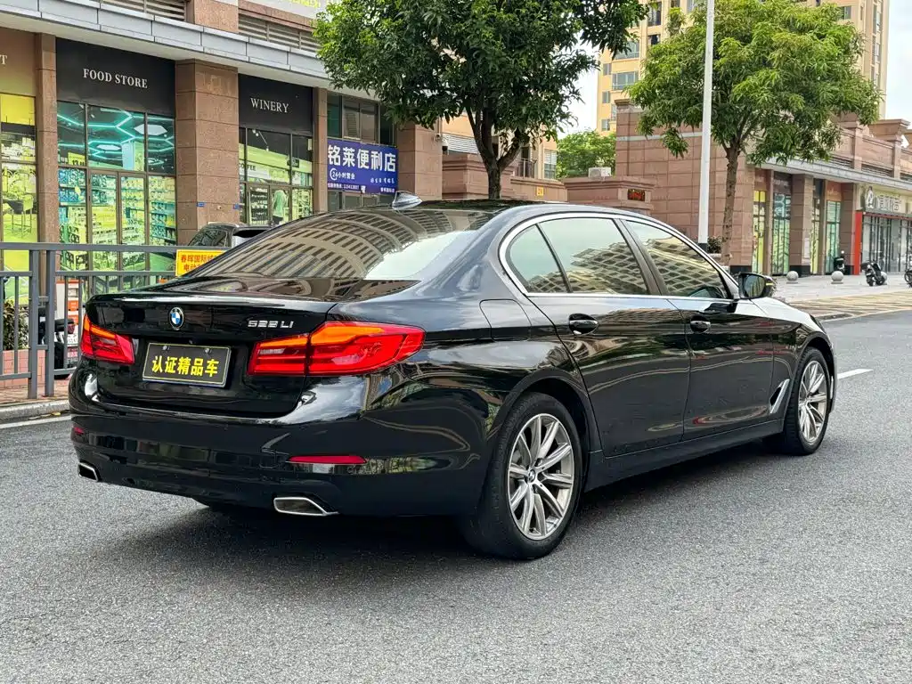 BMW 5 Series — миниатюра 10