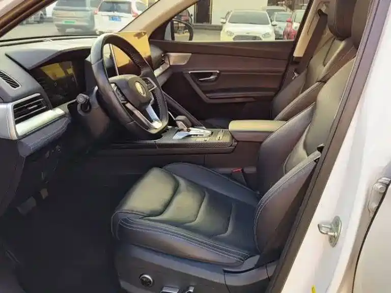 BYD Pro New Energy — миниатюра 8