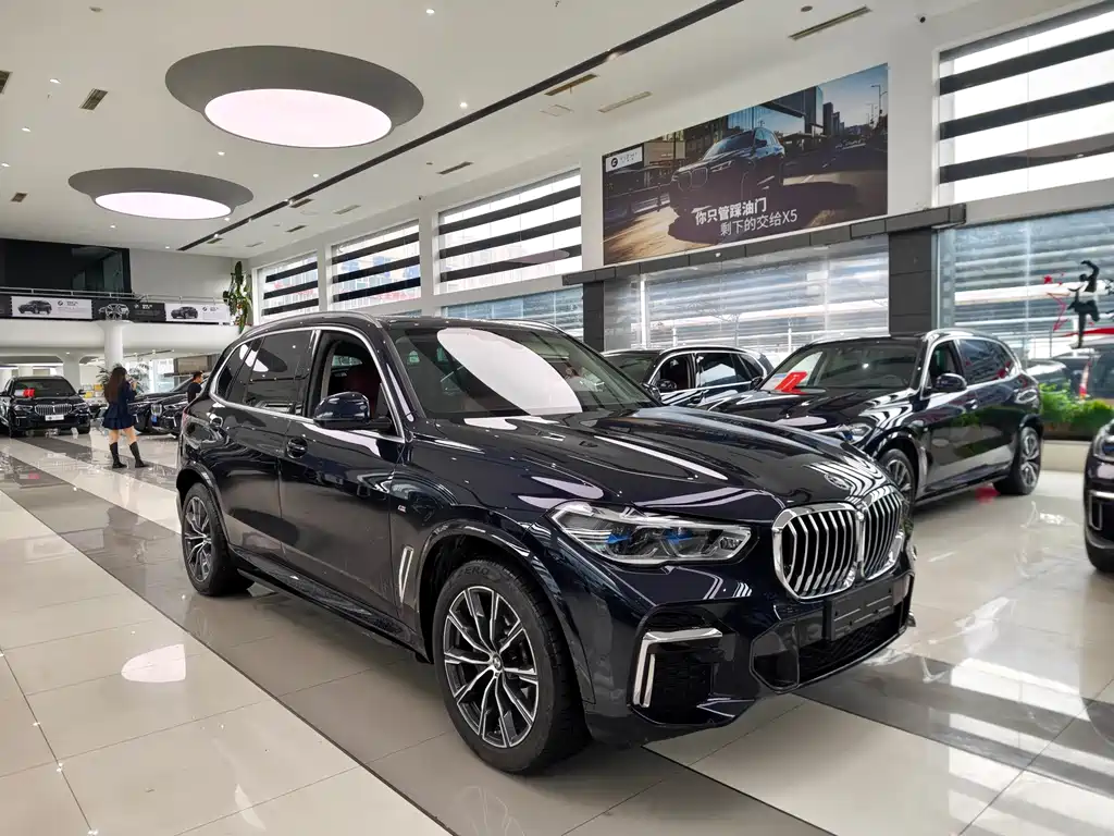 BMW X5 — миниатюра 3