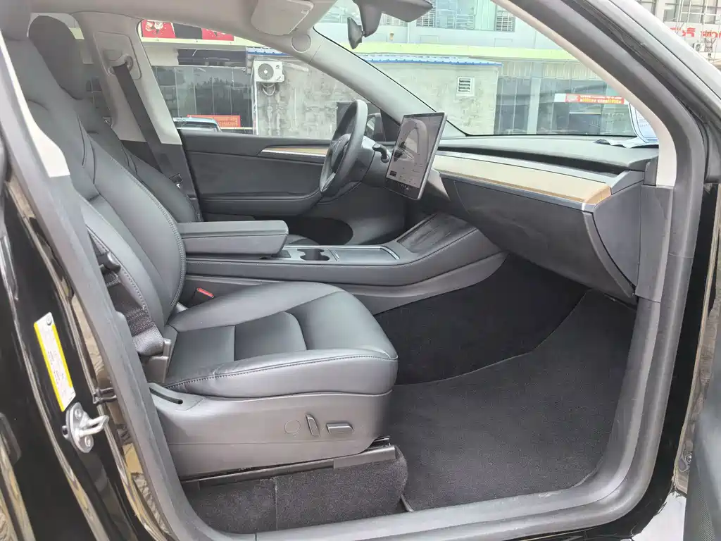 Tesla Model Y — миниатюра 15