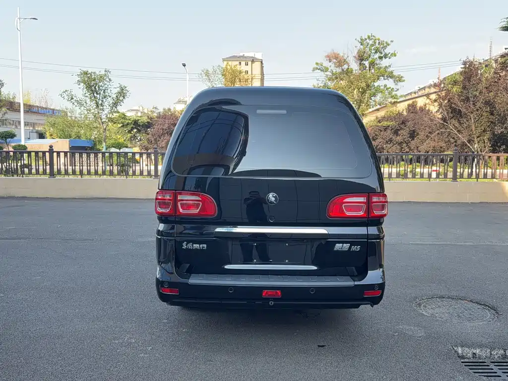 Fengxing Lingzhi — миниатюра 5